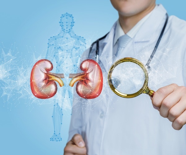 illustration of scientist examining kidneys
