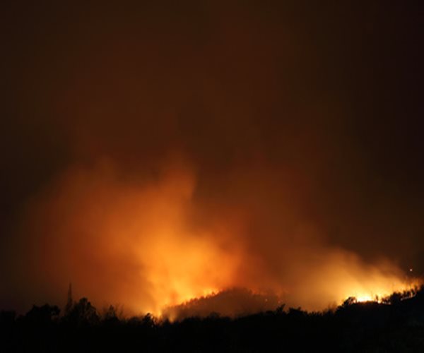 Experts Warn of Mental Health Woes as Wildfires Ravage South