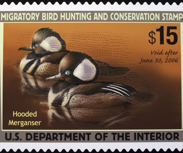 Hunting Theme No Longer Mandatory in US Duck Stamp Contest