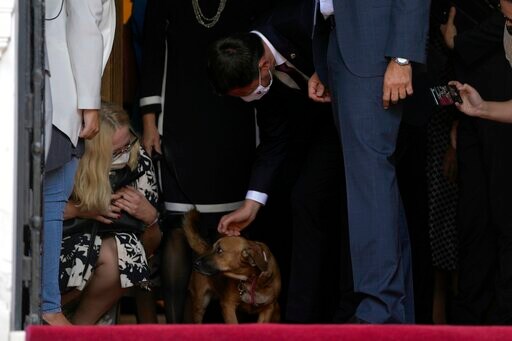 Top Dog: Greek Leader's Pet Interrupts News Conference