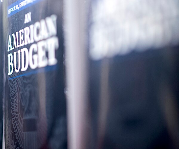 multiple copies of a book called an american budget are pictured