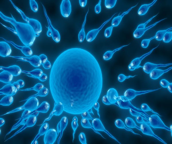 Sleep Can Affect Male Fertility