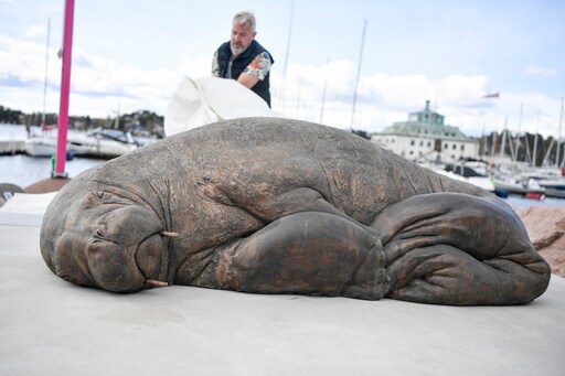 Life-size Sculpture of Euthanized Walrus Unveiled in Norway