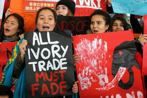 Hong Kong Approves Ban on Local Ivory Trading by 2021