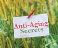 Silicon Valley Funds Research to Reverse Aging