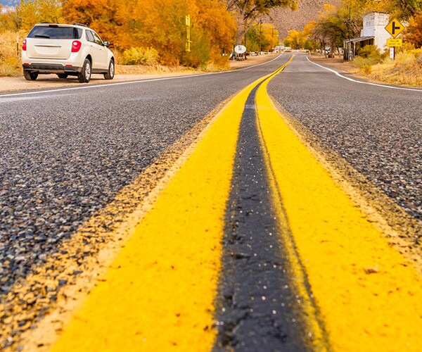 Rhode Island Troopers: Cheetah Toy Not Found, But They Replace It