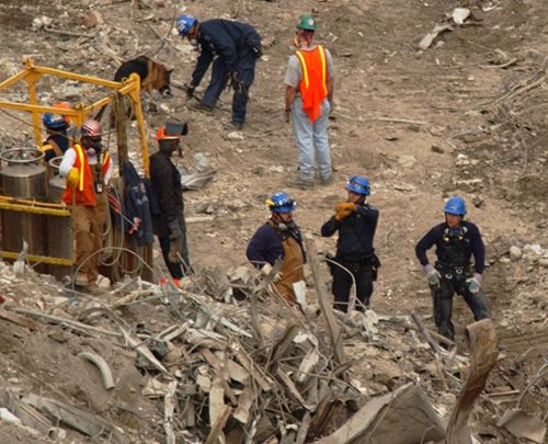 The Search Continues 