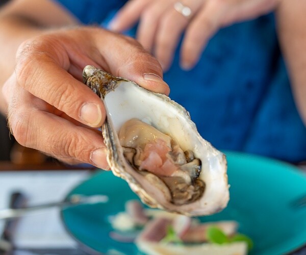 person hold raw oyster