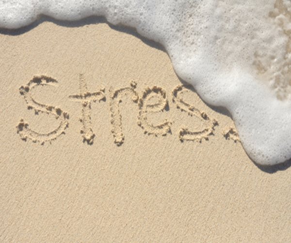 Eye Nutrients Improve Stress Levels