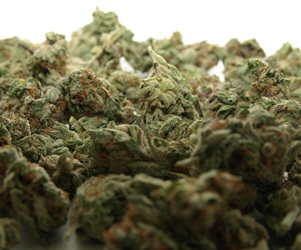 Marijuana Amazon Order Surprise: 65 Pounds of Pot Shocks Customers