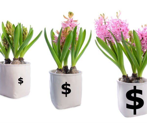 How to Navigate the 3 Stages of Retirement