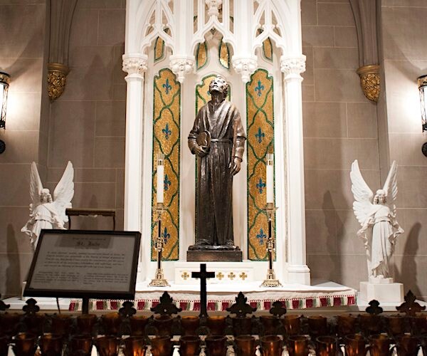 the view from inside saint patrick's catholic cathedral