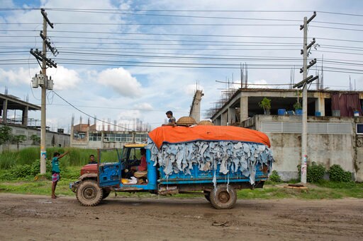 Toxic Tanneries Polluting again at New Bangladesh site