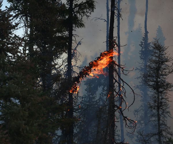 Canada Wildfire Bigger Than New York City as Evacuees Airlifted