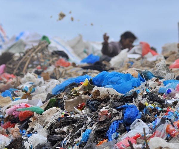 Amsterdam's Plastic-Free Aisle in Supermarket Wins Praise