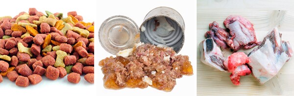 Which Is Best? Dry Dog Food, Canned Food, or Feeding Raw?