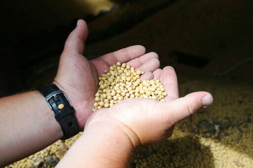 China to Lift Punitive Tariffs on US Soybeans, Pork