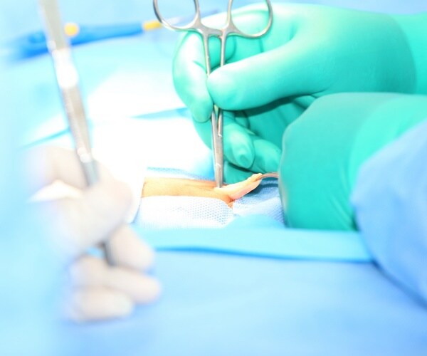 open hernia surgery in operating room