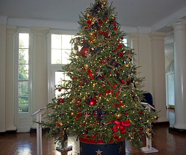 a christmas tree on display at the white house