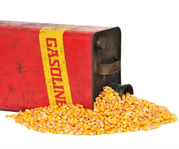 Trump Support Wavering in Farm Country Over Ethanol, Trade