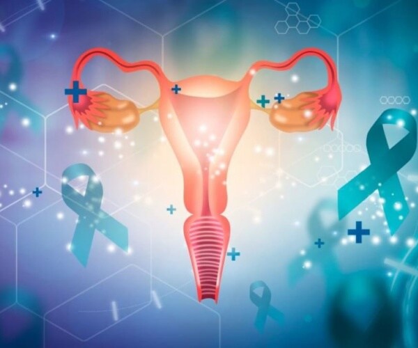 illustration of ovaries, fallopian tubes