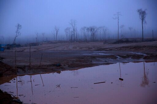 Immersed in Crisis, Peru Neglects Amazon's Destruction