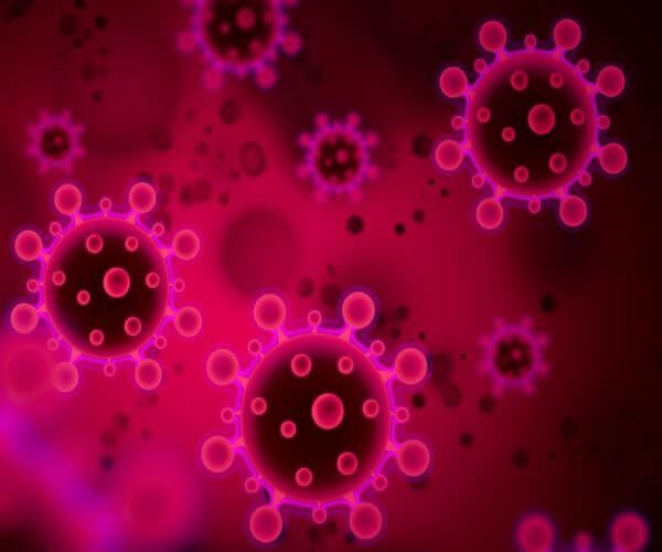 WHO Pleads for 'Rational' Omicron Response