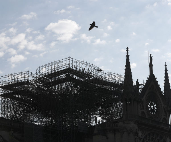 notre dame cathedral