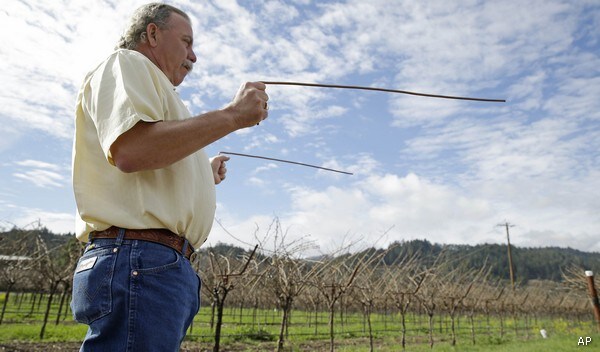 California Farmers Hire Dowsers to Find Water