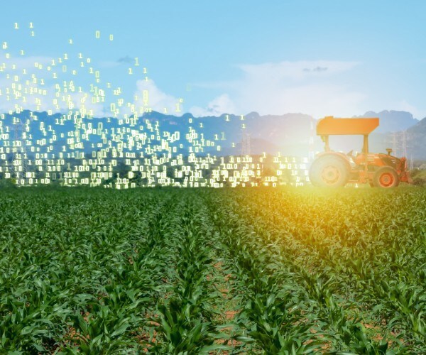 ones and zeros coming from a tractor driving through a corn field