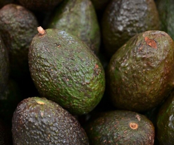US Ends Temporary Ban on Mexican Avocados