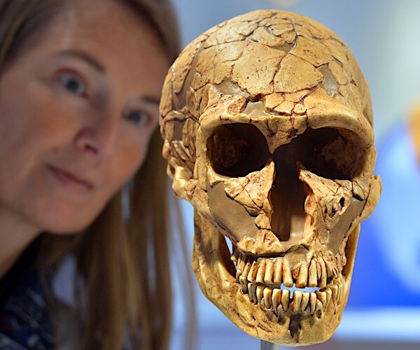 Human Migration May Have Doomed Neanderthals