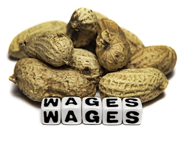 peanuts, shelled amid white blocks with capital black letters spelling wages