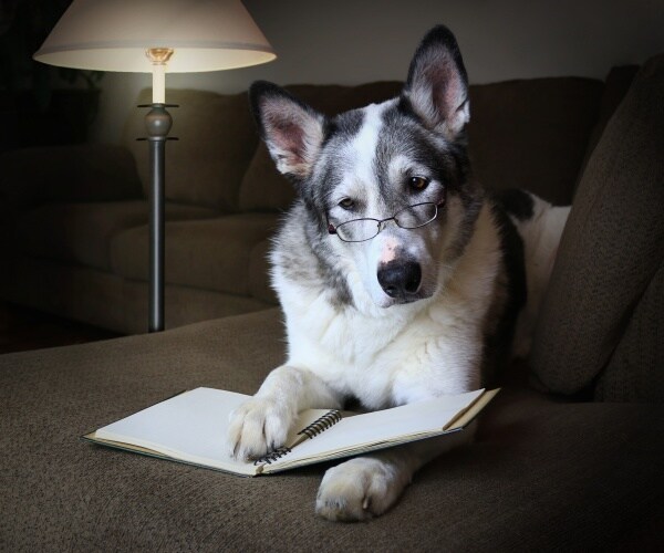 Newsmax Rising Bestsellers – Week of Oct. 24, 2022