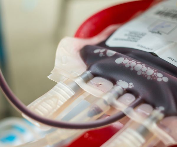 Bacteria Turns Type A to O Blood, May Alleviate Shortages, Study Finds