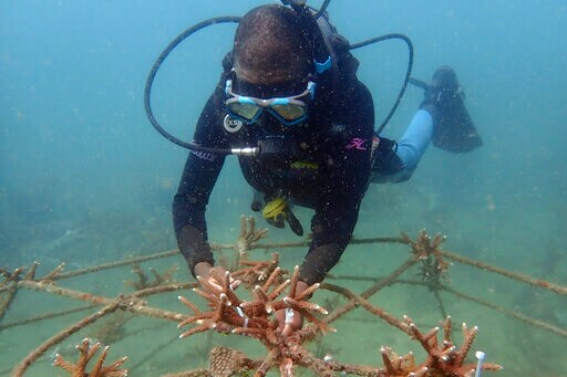 Africa's Wildlife Parks Managers Meet to Boost Conservation