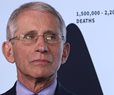 Stanford Epidemiologist: Fauci's 'Credibility Is Entirely Shot'