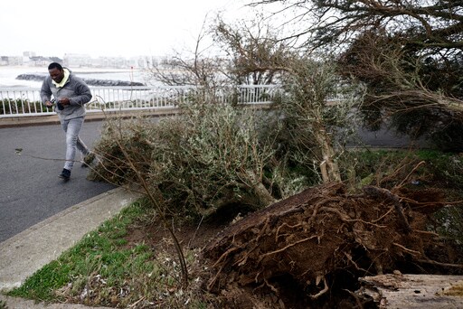 French Power Supplier Says Technician Killed as it Battles Damage from Storm Ciarán
