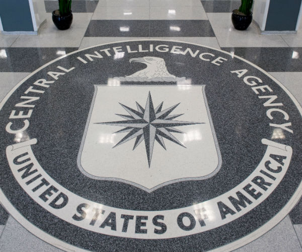 Sharyl Attkisson: Intel Agencies Probing Russian Hacking Have 'Baggage Themselves'