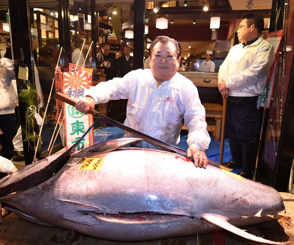 Tokyo Giant Tuna Auction Draws $632K Bid