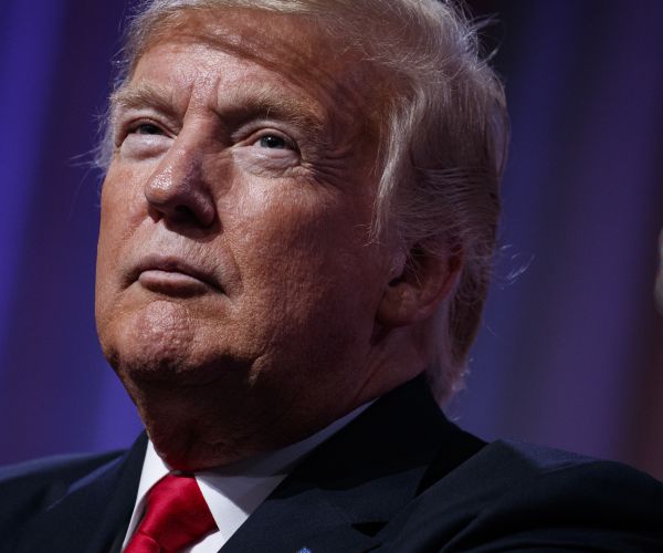 Top Dem Pollster Says Party Will Harm Midterm Success By Emphasizing Impeachment