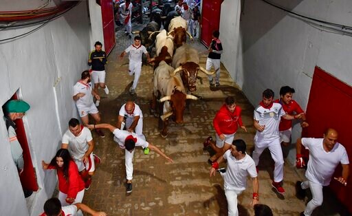 Pamplona Sees 3 Gorings in 8th and Final Bull Run