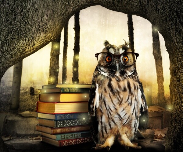 Newsmax Rising Bestsellers – Week of Nov. 14, 2022