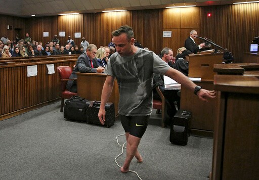Oscar Pistorius and the Valentine's Killing of Reeva Steenkamp. What Happened That Night?