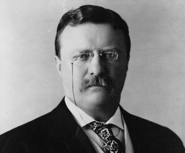 Theodore Roosevelt, The Conservationist: How President Formed Environmental Stance