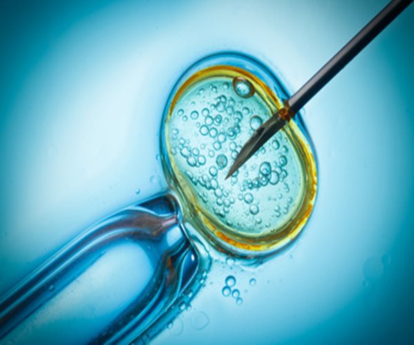 IVF Won't Raise Breast Cancer Risk