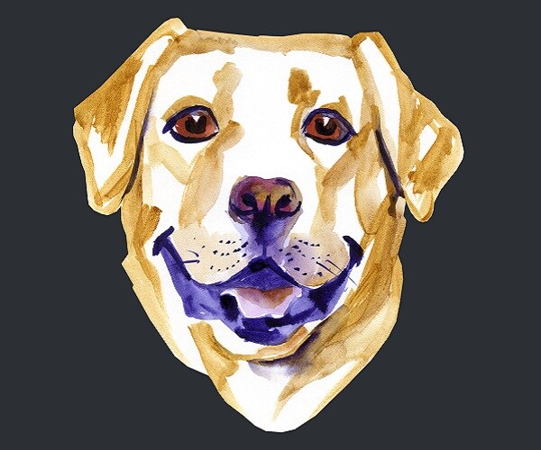 Woman Begs Car Thief for Dog's Return