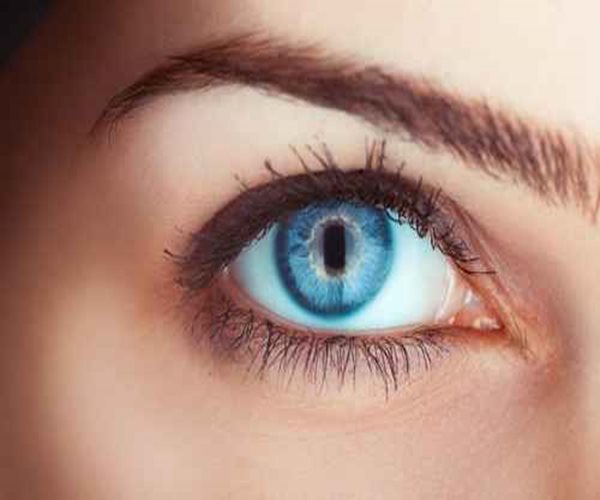 OTC Antihistamine Fights MS-Linked Eye Damage