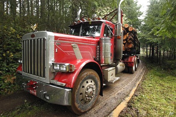Europe Logging US Forests to Fuel Power Plants