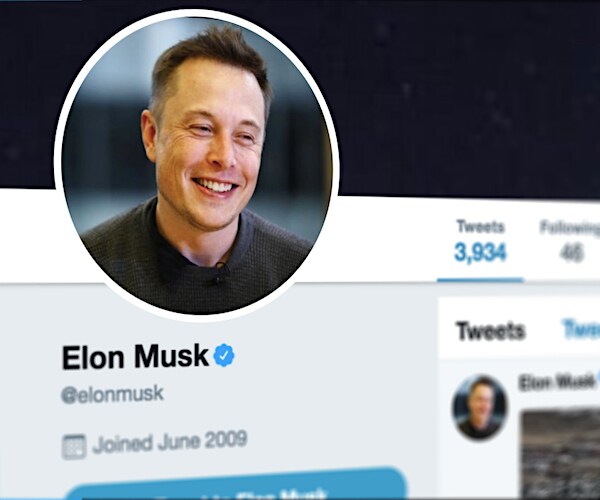 elon musk's twitter profile photo on the twitter page